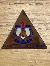 Vintage American Massage Therapist Association AMTA 15 Year Pin Pinback ... - £9.34 GBP