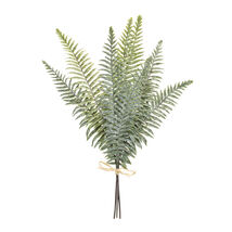Fern Foliage Bundle (Set of 2) - 567596 - €47,58 EUR