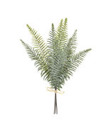 Fern Foliage Bundle (Set of 2) - 567596 - $1,006.92 MXN