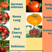 Fast Ship USA Seller Tomato 7 Varieties Packs Seeds - £10.21 GBP