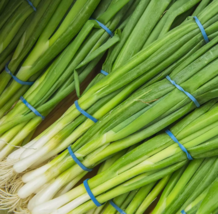 WWATER Evergreen White Bunching Onion 250 Seeds, Scallions, Heirlom USA Seller - £6.33 GBP