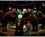 Elephant on Hind Legs Ringling Bros Barnum &amp; Baily Circus UNP Chrome Pos... - $9.85