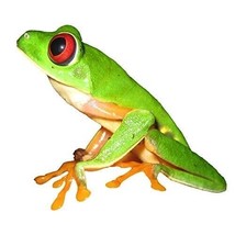 Bright Green Tree Frog Vinyl Decal 4.25&quot; tall x 4.75&quot; wide - Indoor/Outdoor - £3.85 GBP