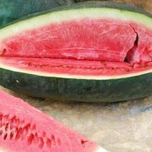 10 Art Combes Angient Watermelon Seeds US Fast Shipping - $13.70