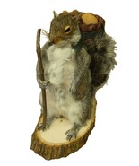 Hiking Squirrel Professional Taxidermy Mounted Animal Statue Home or Off... - €341,01 EUR Hiking Squirrel Professional Taxidermy Mounted Animal Statue Home or Off... - €341,01 EUR