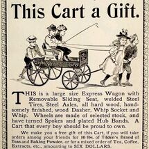 Tilden Tea Co Wagon Carriage 1897 Advertisement Victorian Daisy Cart ADB... - $11.25