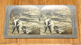 1906 Stereoview Real Photo Deer Hunter Canoe Philadelphia Berry Kelley Chadwick - £15.07 GBP