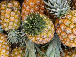 VP Monte Oscuro Pineapple for Garden Planting USA 15+ Seeds - $8.22