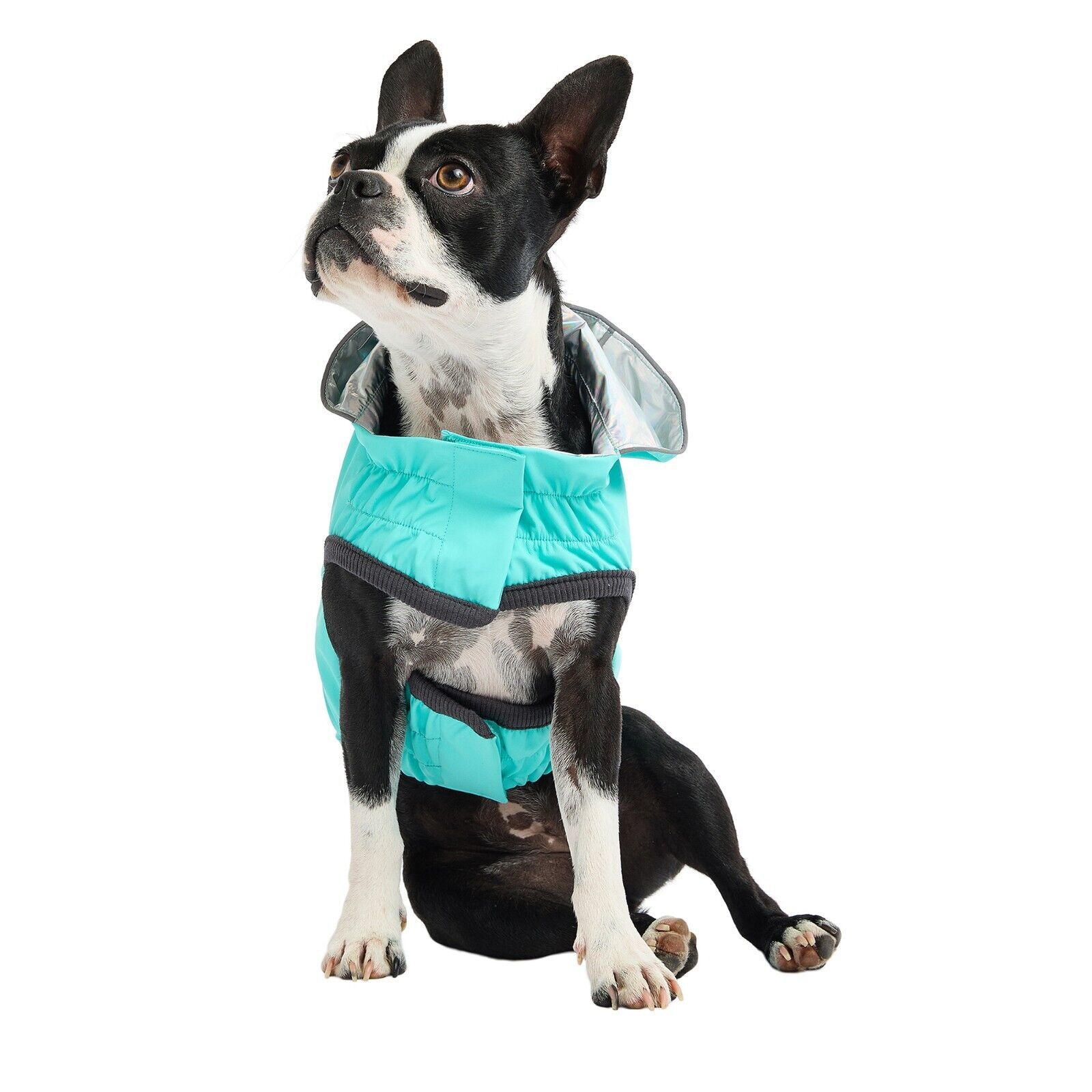 GF PET Reversible Neon Dog Raincoat