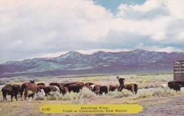 Truth or Consequences New Mexico Cattle Mountains Postcard C32 - £2.35 GBP