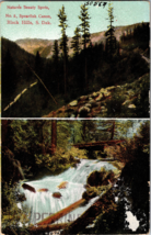 Nature&#39;s Beauty Spots No.5 Spearfish Canon Black Hills South Dakota Vtg Postcard - £4.37 GBP