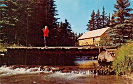 Red River New Mexico~Modern Cabin In Valley Of The Pines Postcard - £6.40 GBP