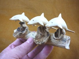 (q129-e) Dolphin Family Pod Dolphins Porpoise Parasite Wood Carving Figurine - £19.09 GBP