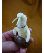 (TNE-WAL-30-C) white Walrus TAGUA NUT palm figurine carving I love walruses - $519.64 MXN
