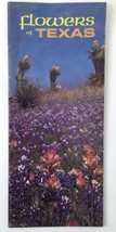 Vintage Flowers of Texas Color Texas Highway Department Brochure Guide - £7.22 GBP