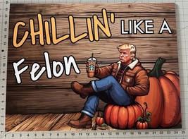 Trump 2024 &quot;Chillin Like A Felon&quot; - Trump 2024 Yard Sign w/Stake - 24&quot; X 18&quot; - £17.02 GBP