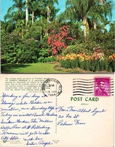 Florida St. Petersburg Sunken Gardens Flowers Posted 1964 to Palmer MA Postcard - £7.36 GBP