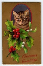 Christmas Postcard Kitten Cat Holly Leaves H I Robbins Embossed 1907 Unposted - £13.60 GBP
