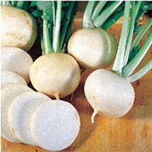 Usa Seller White Lady Turnips Seeds Fast Shipping - £7.35 GBP