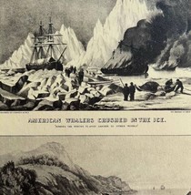 American Whalers Crushed And Seals In Arctic 1942 Art Antique Print DWV5E - £15.88 GBP