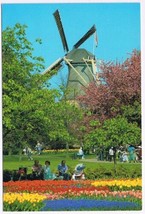 Postcard Holland In Flower Decoration Windmill Tulips Netherlands - £3.88 GBP