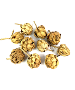 Dried Artichokes 4&quot; x 2&quot; Tabletop Decor Crafts Thanksgiving Autumn Chris... - £22.15 GBP