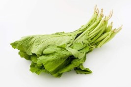 Fresh 250 Florida Broadleaf Mustard Greens Seeds A Iowa Ship From Usa - £14.29 GBP