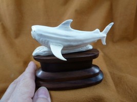 Shark-18 large white Hammerhead Shark display shed antler figurine Bali carving - £56.00 GBP