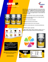 AMPRO XP-Advanced Body Rejuvenation for stronger immune system (Capsule 60 cnt) image 3