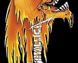 Metallica Textile Poster (Skull &amp; Flames) - £14.15 GBP