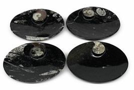 694g, 4pcs, 4.7&quot;x3.8&quot; Small Black Fossils Ammonite Orthoceras Bowl Oval Ring,B88 - £48.11 GBP