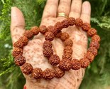 2 pièces bracelet unisexe réglable naturel RUDRAKSHA 5 mukhi Rudraksh,... - $13.00