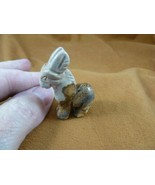 (Y-BUR-568) tan Jasper BURRO donkey LITTLE mule gemstone FIGURINE stone ... - £11.01 GBP