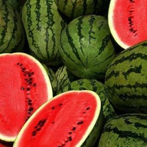 USA Seller 100 Jubilee Watermelon Seeds Garden Seeds Melon - £14.08 GBP