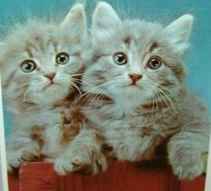 Christmas Postcard 2 Kittens Bright Eyes Art Creation 1980&#39;s Grey Cats Perched - £8.57 GBP