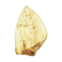 Hollings Cows Ears  - £50.76 GBP