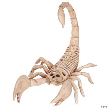 Scorpion skeleton - $455.51 MXN