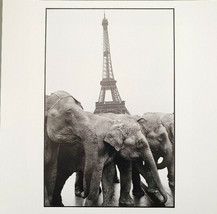 Guy El Querrec - Signed Photo - Magnum Square Print Limited Edition - $371.08