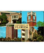 Vtg Multi View Postcard University of Florida, Gainsville, Unposted - £5.19 GBP
