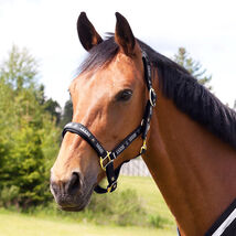 ' Horse Tack Polyester Horze Hampton Halter 606211RDP - $19.79