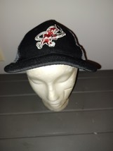 Macon Bacon Trucker Hat Cap Minor League Baseball - $10.00