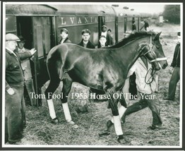 1953 - TOM FOOL -  Horse Of The Year - 10&quot; x 8&quot; - £15.69 GBP