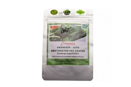 DRIED SEA GRAPES / SEAWEED / DEHYDRATED CAULERPA LENTILLIFERA NATURAL (3... - $237.18 MXN+
