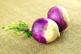 AW American Purple Top Rutabaga Non-Gmo Seeds Brassica Napus Variety Org... - $8.93
