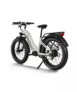 D5 ST(Zebra ST) / All-terrain Electric Fat Bike - $2,200.00