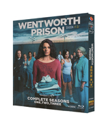 Wentworth Season 1-9 Blu-ray 1080P BD - $96.00