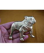 (b-dog-1) English Bulldog dog BRASS pin pendant lover I love my dog bull... - $570.30 MXN