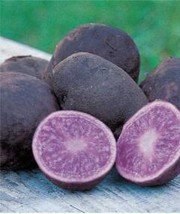 100 Seeds Potato Seeds Purple Color Gardening - $13.22