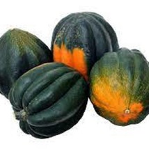 Table King Bush Acorn Winter Squash - Organic Heirloom Seeds - Very Prol... - $8.98