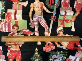 Alexander Henry Fabrics All I Want For Christmas Hunks Cotton 4 Yards 44&quot; Wide - £19.68 GBP